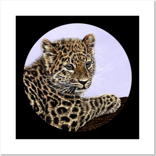 Amur leopard cub Posters and Art